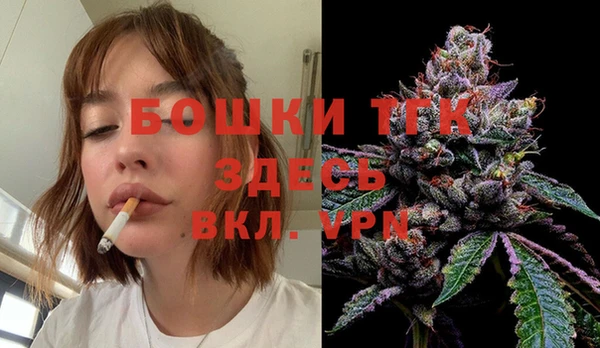прущие грибы Нязепетровск