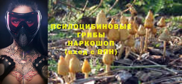герыч Новозыбков