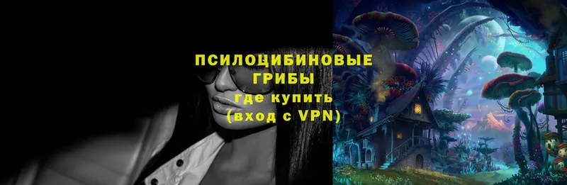 hydra онион  Калязин  Галлюциногенные грибы MAGIC MUSHROOMS 